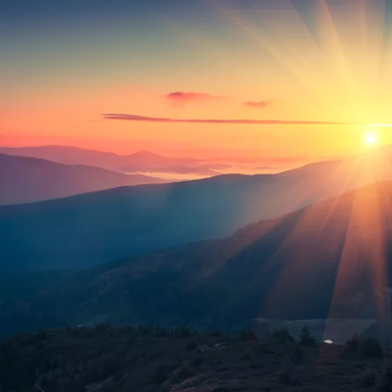 Shutterstock 502835770