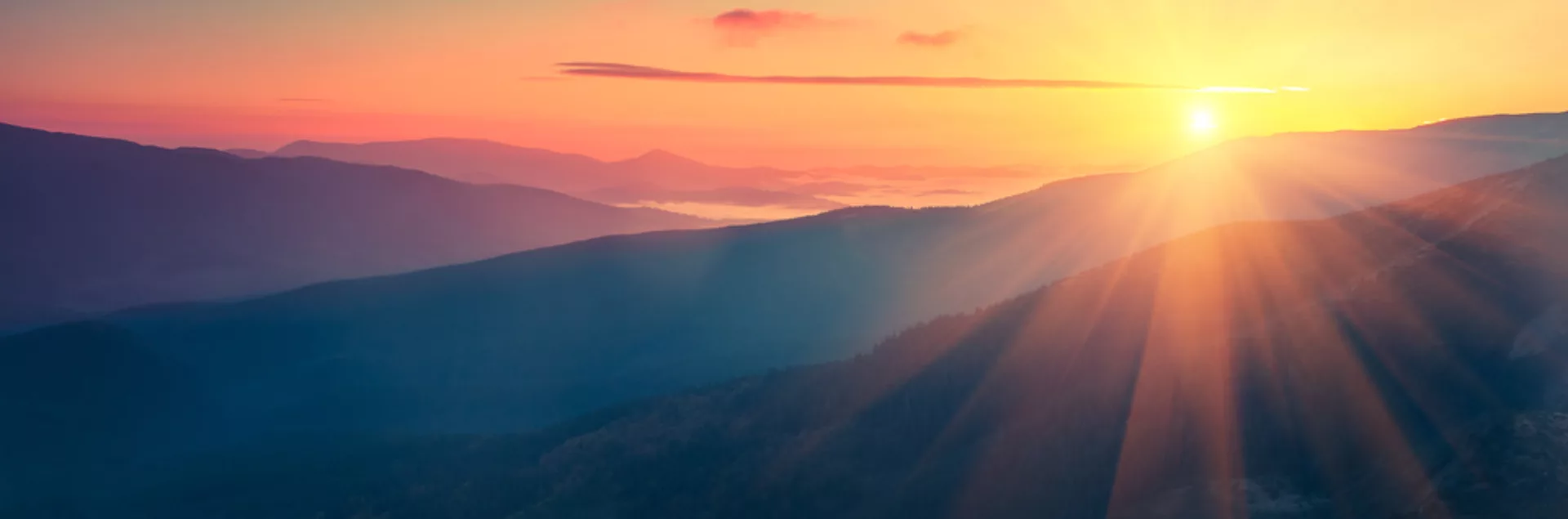 Shutterstock 502835770