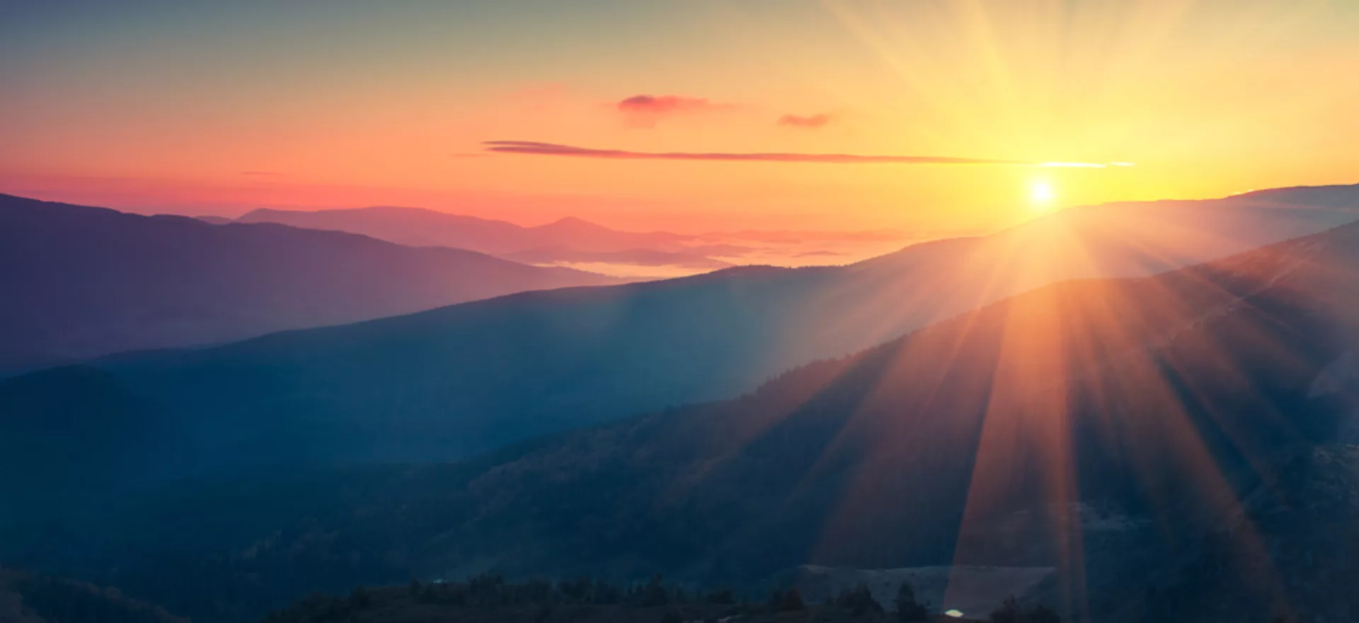 Shutterstock 502835770