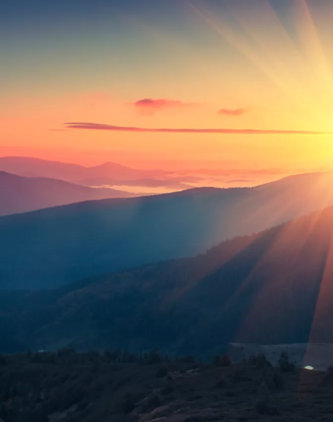 Shutterstock 502835770